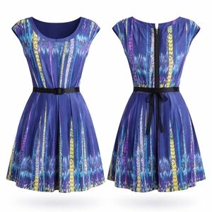 Blue Multi-Stripe Fit-and-Flare Dress